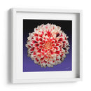 Florece - 5 - DeLaVegaGaming | Cuadro decorativo de Canvas Lab