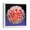 Florece - 5 - DeLaVegaGaming | Cuadro decorativo de Canvas Lab