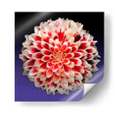 Florece - 5 - DeLaVegaGaming | Cuadro decorativo de Canvas Lab