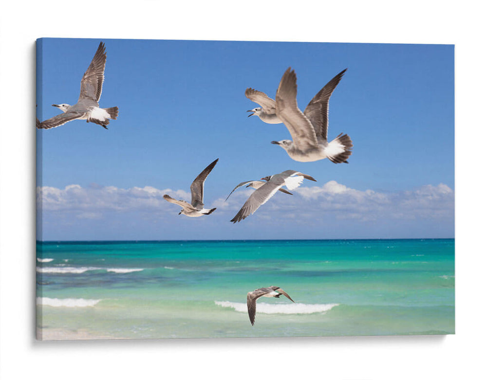 Gaviotas - Emilio Santamaria | Cuadro decorativo de Canvas Lab