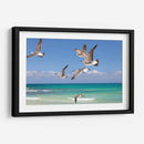 Gaviotas - Emilio Santamaria | Cuadro decorativo de Canvas Lab