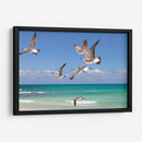 Gaviotas - Emilio Santamaria | Cuadro decorativo de Canvas Lab