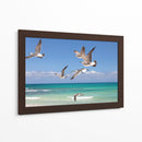 Gaviotas - Emilio Santamaria | Cuadro decorativo de Canvas Lab