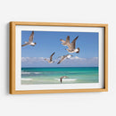 Gaviotas - Emilio Santamaria | Cuadro decorativo de Canvas Lab