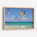 Gaviotas - Emilio Santamaria | Cuadro decorativo de Canvas Lab