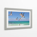 Gaviotas - Emilio Santamaria | Cuadro decorativo de Canvas Lab