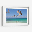 Gaviotas - Emilio Santamaria | Cuadro decorativo de Canvas Lab