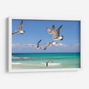 Gaviotas - Emilio Santamaria | Cuadro decorativo de Canvas Lab
