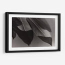 Foto Síntesis #1 - Emilio Santamaria