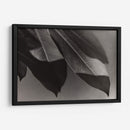 Foto Síntesis #1 - Emilio Santamaria