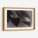 Foto Síntesis #1 - Emilio Santamaria