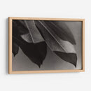 Foto Síntesis #1 - Emilio Santamaria