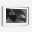 Foto Síntesis #1 - Emilio Santamaria