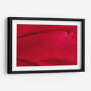 Foto Síntesis #3 - Emilio Santamaria