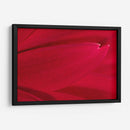 Foto Síntesis #3 - Emilio Santamaria