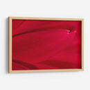 Foto Síntesis #3 - Emilio Santamaria