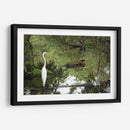 Garza posando en agua - FotoCompagny | Cuadro decorativo de Canvas Lab