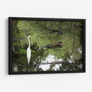 Garza posando en agua - FotoCompagny | Cuadro decorativo de Canvas Lab
