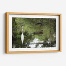 Garza posando en agua - FotoCompagny | Cuadro decorativo de Canvas Lab