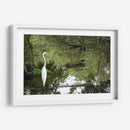 Garza posando en agua - FotoCompagny | Cuadro decorativo de Canvas Lab