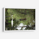 Garza posando en agua - FotoCompagny | Cuadro decorativo de Canvas Lab
