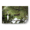 Garza posando en agua - FotoCompagny | Cuadro decorativo de Canvas Lab