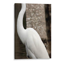 Silueta de garza - FotoCompagny | Cuadro decorativo de Canvas Lab