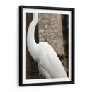 Silueta de garza - FotoCompagny | Cuadro decorativo de Canvas Lab