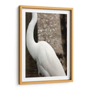 Silueta de garza - FotoCompagny | Cuadro decorativo de Canvas Lab