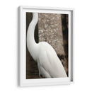 Silueta de garza - FotoCompagny | Cuadro decorativo de Canvas Lab