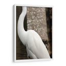 Silueta de garza - FotoCompagny | Cuadro decorativo de Canvas Lab