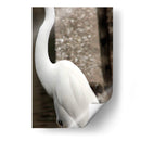 Silueta de garza - FotoCompagny | Cuadro decorativo de Canvas Lab