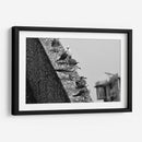 Pájaros en barda - FotoCompagny | Cuadro decorativo de Canvas Lab