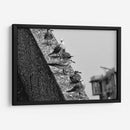 Pájaros en barda - FotoCompagny | Cuadro decorativo de Canvas Lab