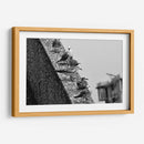 Pájaros en barda - FotoCompagny | Cuadro decorativo de Canvas Lab