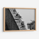 Pájaros en barda - FotoCompagny | Cuadro decorativo de Canvas Lab
