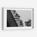 Pájaros en barda - FotoCompagny | Cuadro decorativo de Canvas Lab