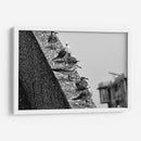 Pájaros en barda - FotoCompagny | Cuadro decorativo de Canvas Lab