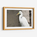 Garza Descansando - FotoCompagny | Cuadro decorativo de Canvas Lab