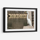 Garza en muro de piedra - FotoCompagny | Cuadro decorativo de Canvas Lab