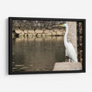 Garza en muro de piedra - FotoCompagny | Cuadro decorativo de Canvas Lab