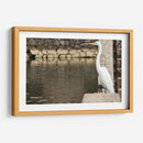 Garza en muro de piedra - FotoCompagny | Cuadro decorativo de Canvas Lab