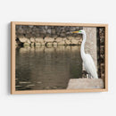 Garza en muro de piedra - FotoCompagny | Cuadro decorativo de Canvas Lab