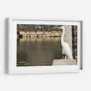 Garza en muro de piedra - FotoCompagny | Cuadro decorativo de Canvas Lab