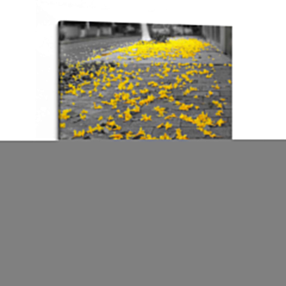 Flores amarillas en banqueta - FotoCompagny | Cuadro decorativo de Canvas Lab
