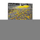 Flores amarillas en banqueta - FotoCompagny | Cuadro decorativo de Canvas Lab