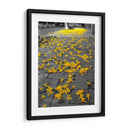 Flores amarillas en banqueta - FotoCompagny | Cuadro decorativo de Canvas Lab