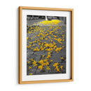 Flores amarillas en banqueta - FotoCompagny | Cuadro decorativo de Canvas Lab