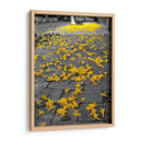 Flores amarillas en banqueta - FotoCompagny | Cuadro decorativo de Canvas Lab
