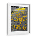 Flores amarillas en banqueta - FotoCompagny | Cuadro decorativo de Canvas Lab